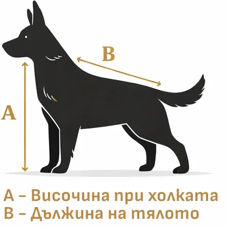 Как да измерите кучето – A височина при холката, B дължина на тялото