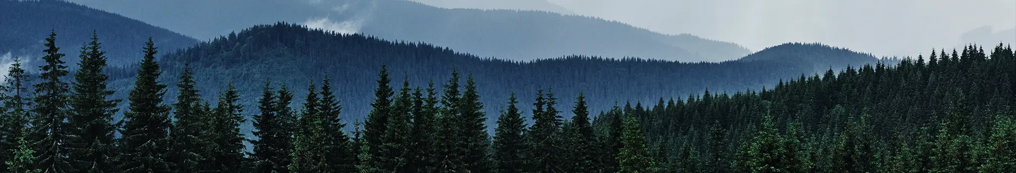 Page Title Palisandar