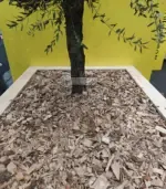 Дървесен чипс суров - Палисандър ООД Ракитово