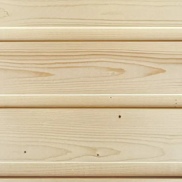 Иглолистна ламперия