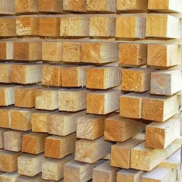 Иглолистни летви