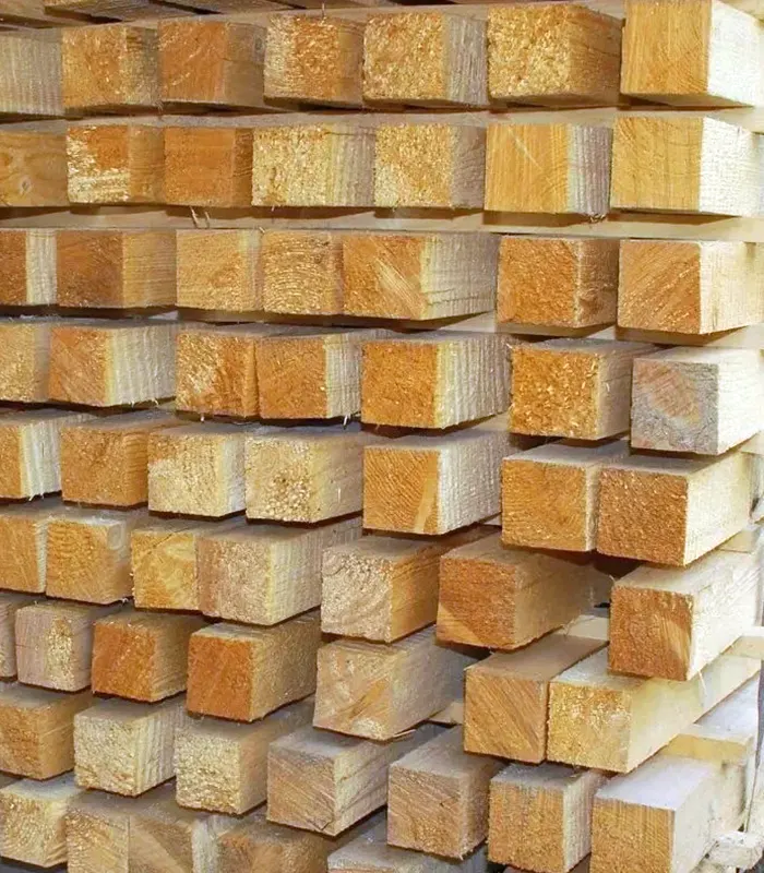 Иглолистни летви