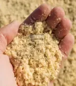 Иглолистни трици - Палисандър ООД Ракитово