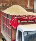 Иглолистни трици - Палисандър ООД Ракитово