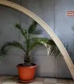 Извити слепени греди - Палисандър ООД Ракитово