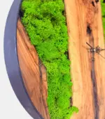 Часовник "Green Olive" - Палисандър ООД Ракитово